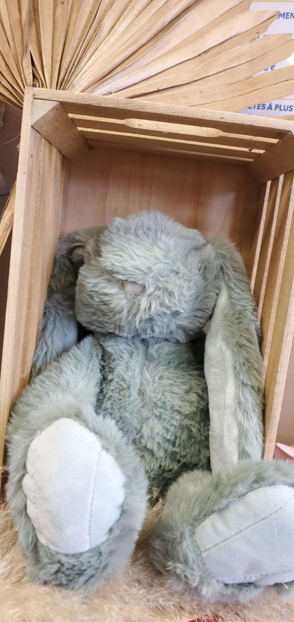 Peluche Lapin personnalisée – Image 2